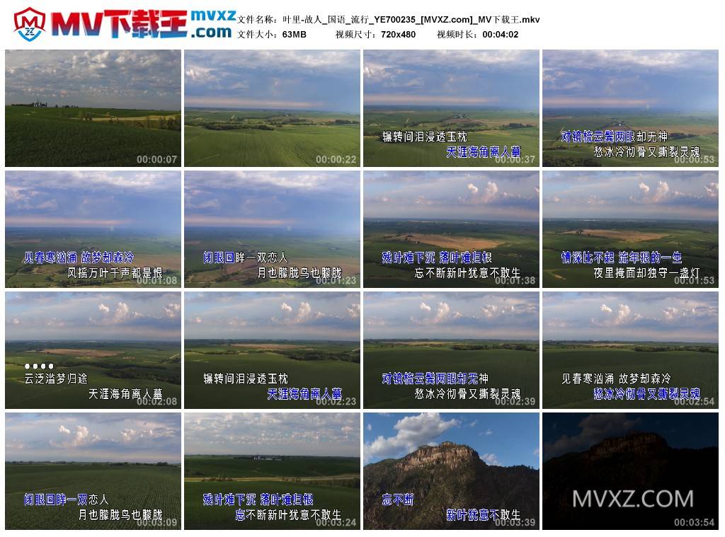 叶里-故人_国语_流行_YE700235